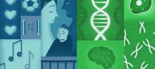 PSYCH animation image