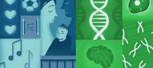 PSYCH Animation Image