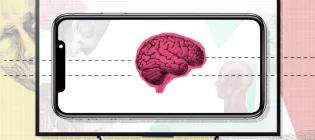 COG SCI Animation Image