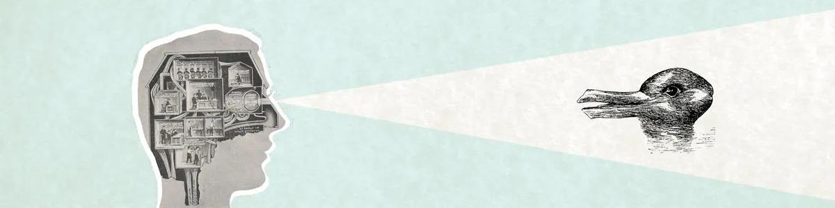 Duck rabbit banner